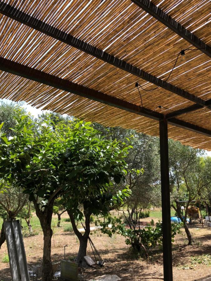 Casa Giulia - Vacanze A Holiday home Olbia