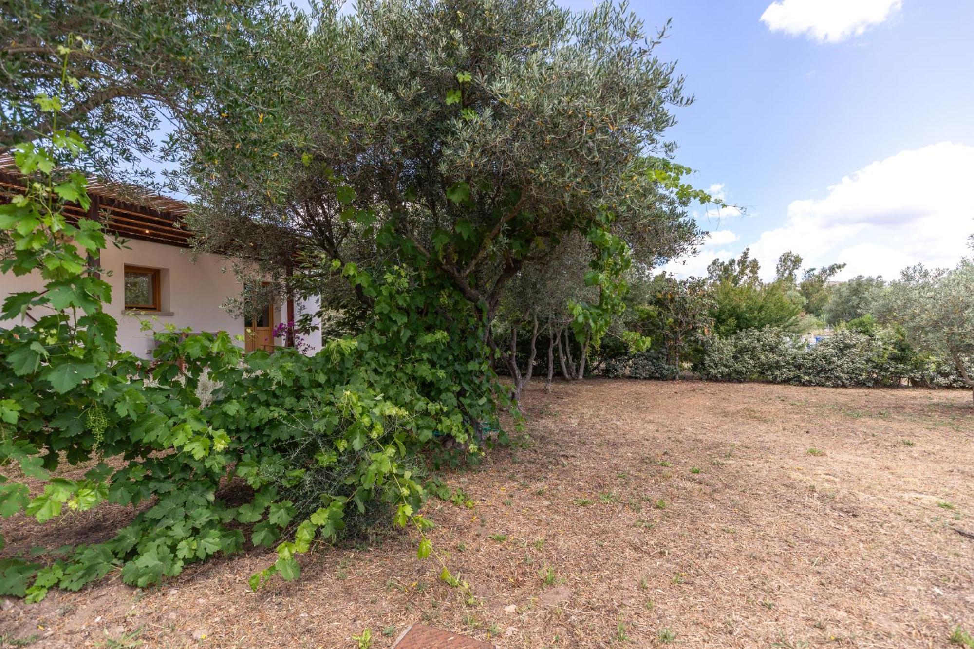 Casa Giulia - Vacanze A * Olbia